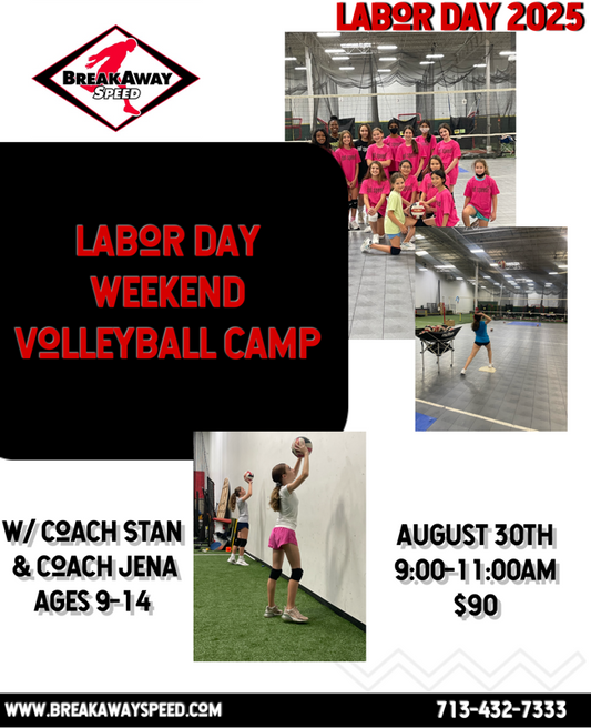 Labor Day Weekend Volleyball Camp (8/30) Ages 9-14